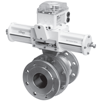 Trunnball DL Trunnion Ball Valve